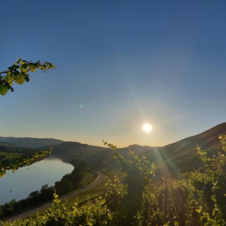 Ferienwohnungen Zum Niederberg Lieser Dış mekan fotoğraf