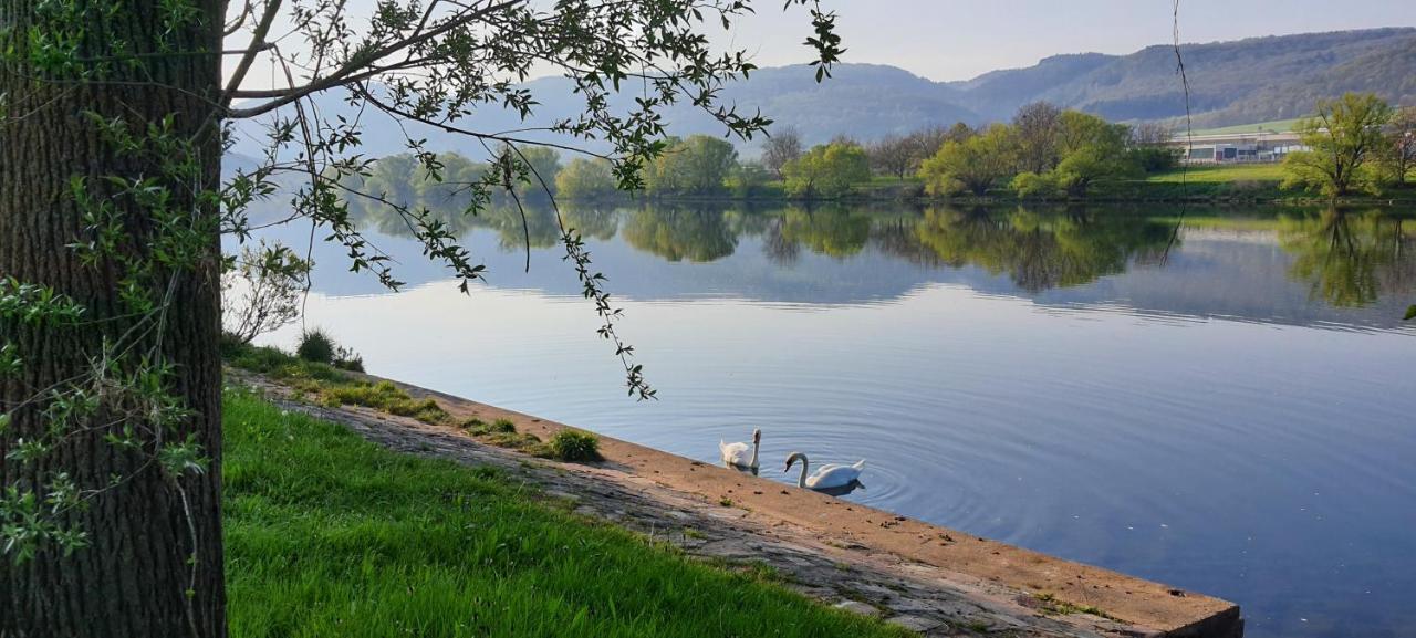 Ferienwohnungen Zum Niederberg Lieser Dış mekan fotoğraf
