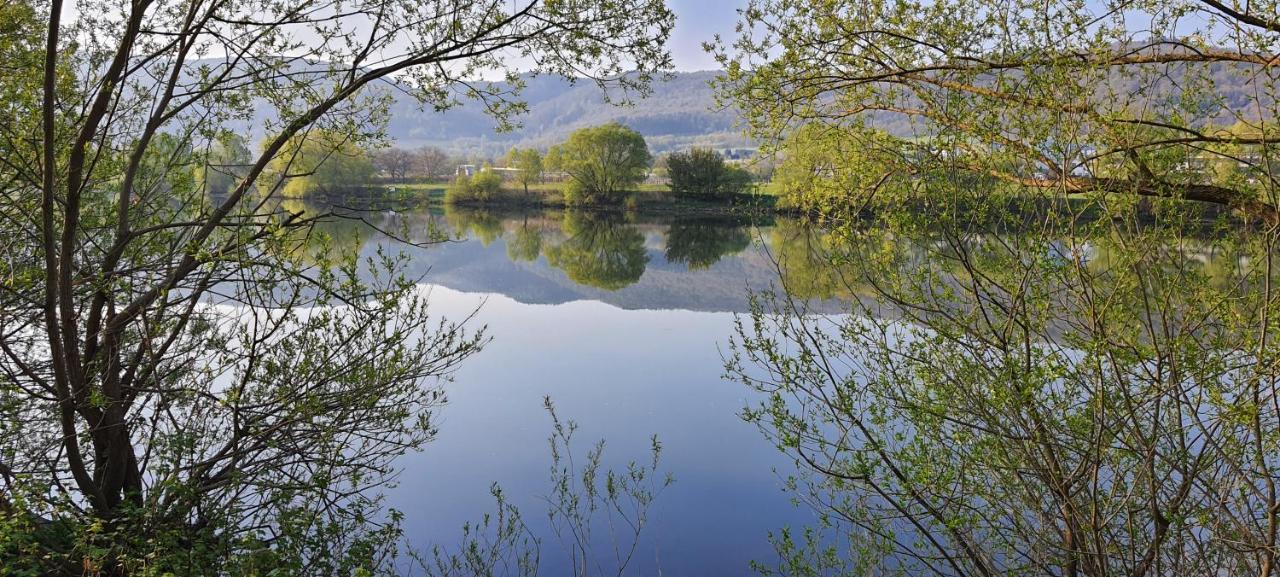Ferienwohnungen Zum Niederberg Lieser Dış mekan fotoğraf