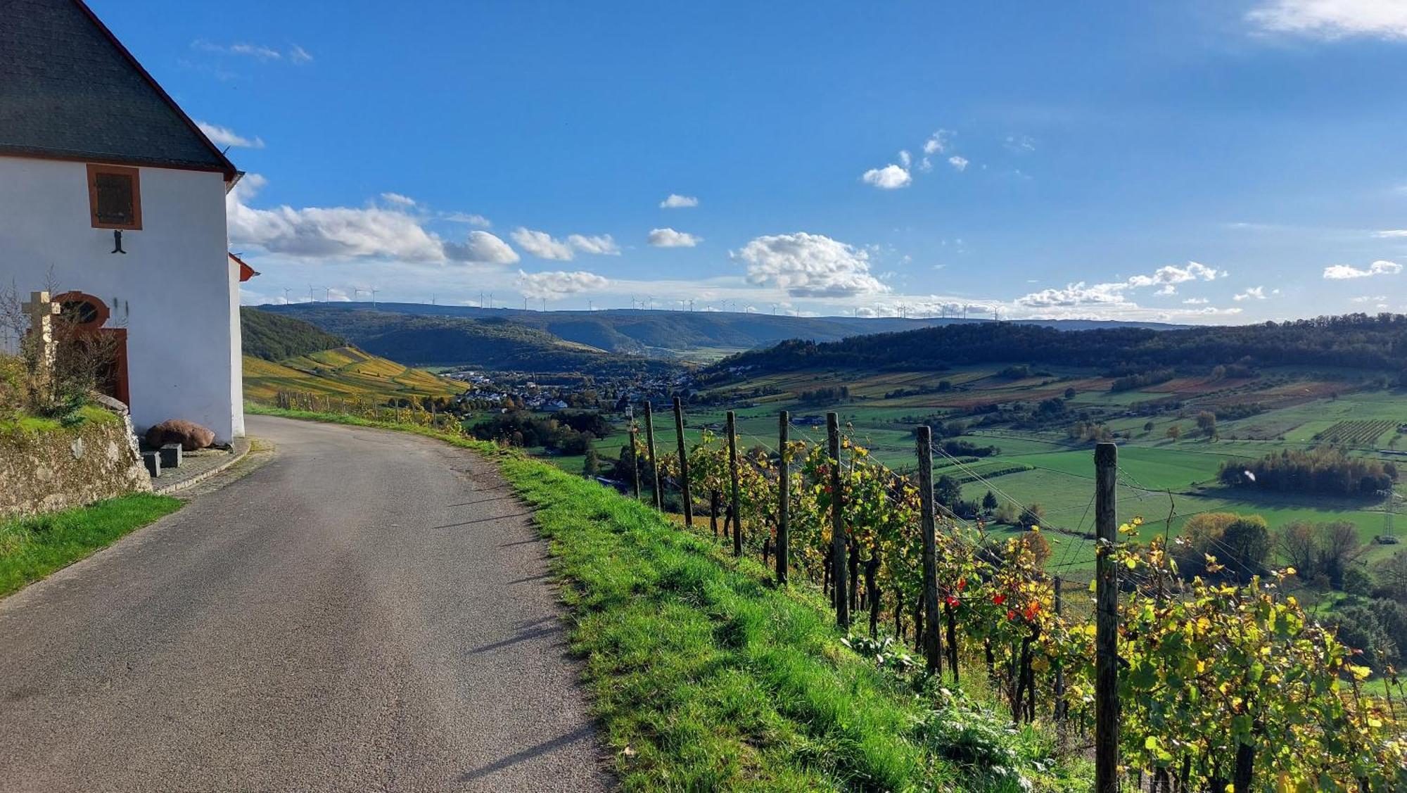 Ferienwohnungen Zum Niederberg Lieser Dış mekan fotoğraf